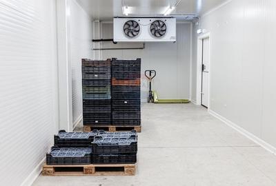 DE VANZARE una dintre cele mai moderne plantatii de afin din Romania - 9