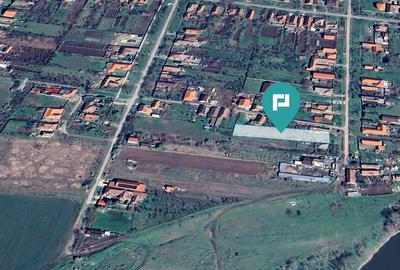 Teren intravilan de 1363 mp în Mândruloc Teren intravilan de 1363 mp în Mândruloc - 2