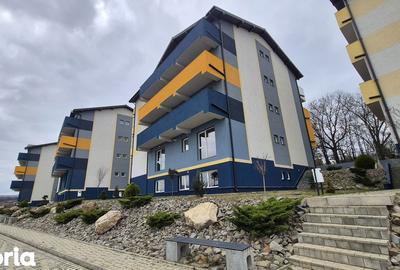 Apartament cu 2 camere în Bucium - 6