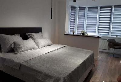 Apartament cu 2 camere de vanzare in zona Gorjului Apartament cu 2 camere de vanzare in zona Gorjului - 2