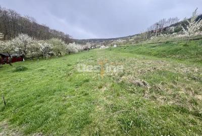Teren de 950 mp, în Central - 4