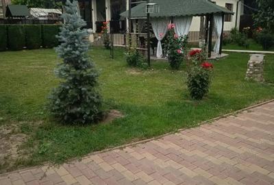 Casă cu Teren 1000 Mp în Vetrișoaia - 3