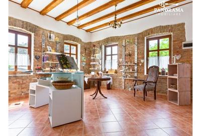 Proprietate cu farmec istoric și potențial turistic in Saschiz - 4