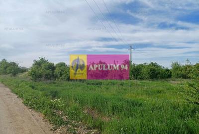 Teren Construcții intravilan de 1400 mp, în Joița - 4