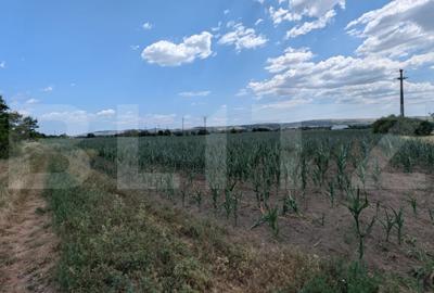 Teren de 3900 mp, în Central