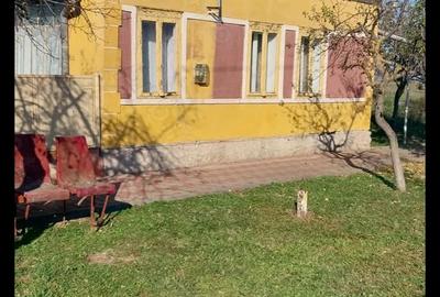 Casă cu Teren 1800 Mp în Călacea - 1