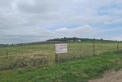 Teren de 60900 mp, în Gârbova - 3