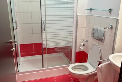 Apartament cu 3 camere, mobilat în Iancu Nicolae - 15