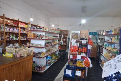 Spațiu comercial, de 350 mp, în Șepreuș - 8