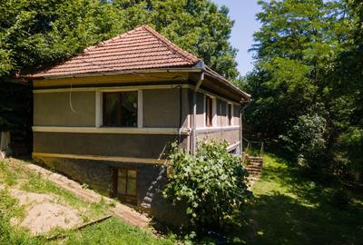 Proprietate cu potential turistic, in zona Negreni – Bucea, jud. Cluj - 1