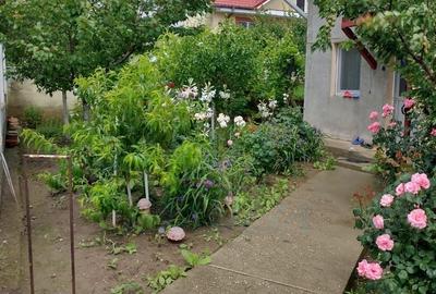 Casă individuală cu 4 camere cu Canalizare în Smârdan - 2