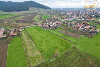 FILM!Potential rezidential/ investitional: 8.000 mp intravilan construibil, Sanz - 4