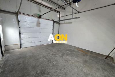 Spațiu industrial, de 560 mp, în Ampoi 1 - 8