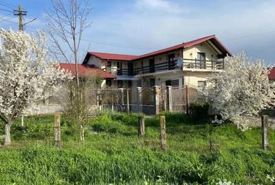 Casă cu 7 camere cu Teren 16000 Mp în Ciorani - 3