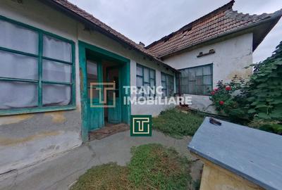 Casă cu 4 camere cu Teren 1440 Mp în Secusigiu - 4