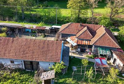 Casă cu 4 camere în Burjuc - 5