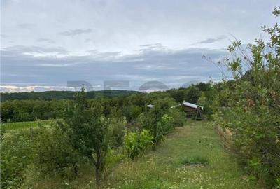 RECO Casa cu teren in Hidiselul de Sus - 5