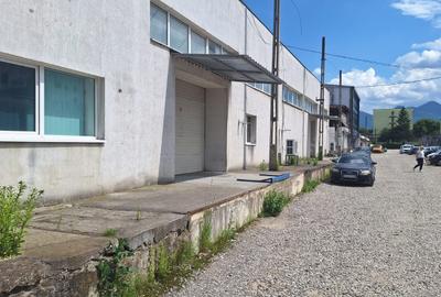 Inchiriez hala moderna zona Zizinului - 2