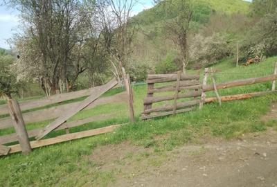 Teren Construcții intravilan de 6000 mp, în Vidra - 1