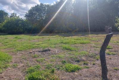 Teren intravilan 1843 mp - Cerbu/Albota/Arges - cu proiect d - 4