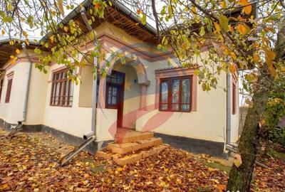 Casă cu 4 camere cu Teren 1606 Mp în Leu - 1