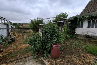 Teren Construcții intravilan de 1260 mp, în Giarmata - 6