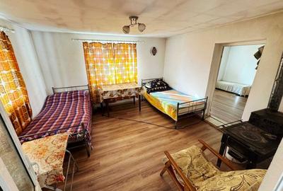 Casă cu 3 camere în Roșia de Secaș - 2