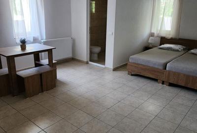 Casă cu 4 camere cu Teren 500 Mp în Lumina - 1