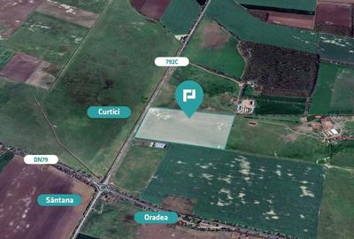 Teren intravilan 10,5 ha în com. Șimand, jud. Arad - 3