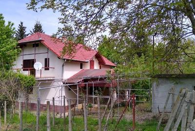 Casă individuală cu 5 camere cu Teren 2200 Mp în Tauț - 2