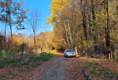 Vand teren cu padure la 5 km de Curtea de Arges,zona deal-munte,zona superba - 2