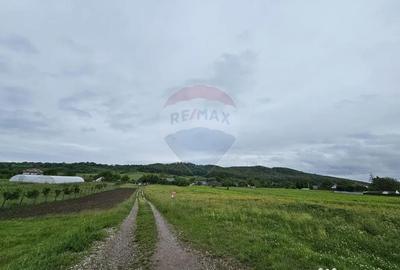 Teren de 1495 mp, în Dobreni - 18