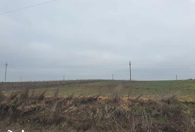Teren de 140000 mp, în Albești - 3