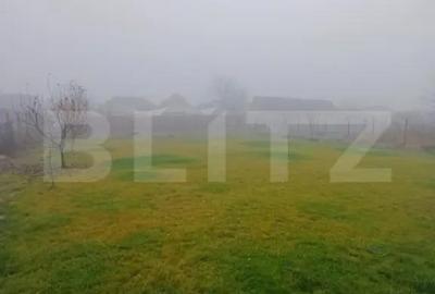 Casă cu 4 camere cu Teren 1360 Mp în Mihai Viteazu - 3