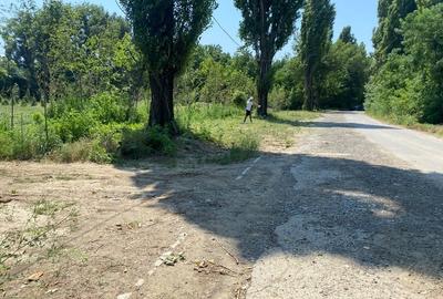 Vânzare teren 3 loturi pe Intrarea Serelor / Vitan barzesti / sector 4 - 2