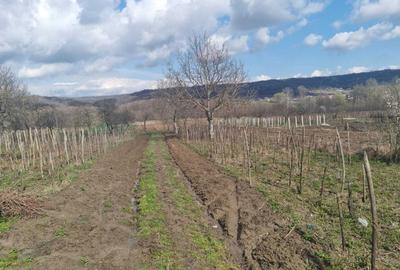 Casă cu 3 camere în Mereșești - 7