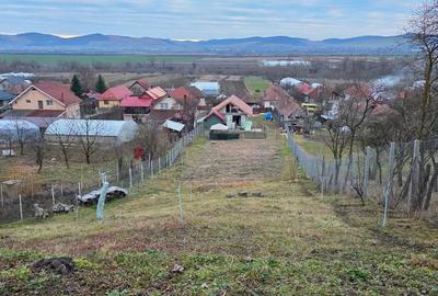 Casă individuală cu 3 camere cu Teren 2142 Mp în Chinari - 7