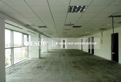 Europe House, Victoriei, 250 - 2665 mp 0% comision! Europe House, Victoriei, 250 - 2665 mp 0% comision! - 3