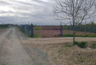 Teren Construcții intravilan de 7567 mp, în Sud - 17