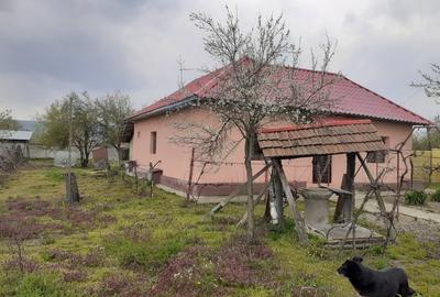 Casă cu 3 camere cu Teren 2500 Mp în Butoiești - 7