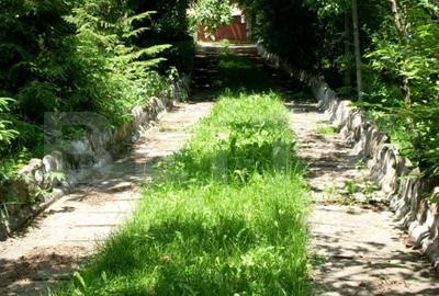 Teren de 14000 mp, în Mihai Viteazu - 6