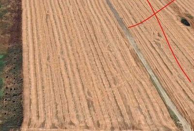 Teren de 4446 mp, în Clinceni