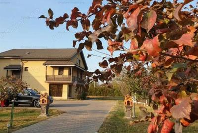 Vila P+1+M Cazasu 510mp construiti si teren 3774 mp - 16