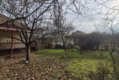 Casa Saftica/Balotesti - 30