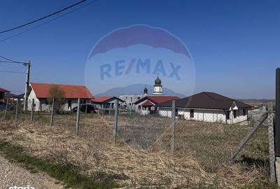 Spațiu comercial, în Paleu