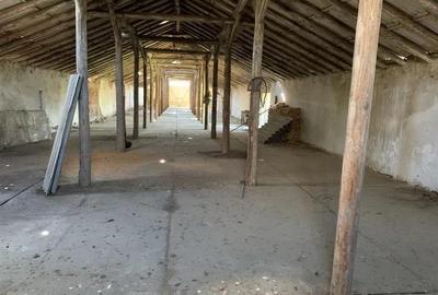 Spatiu comercial/Industrial multifunctional: productie, depozitare, logistica, R - 5