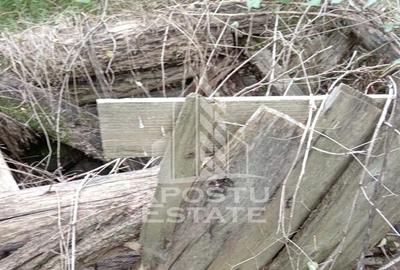 Teren Intravilan Cuied 3260 mp - 4