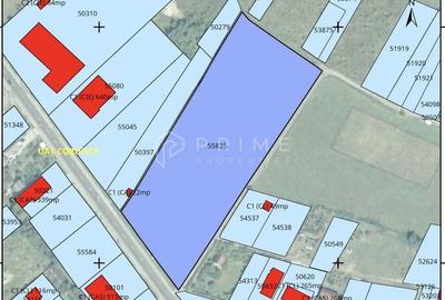 Teren cu potențial multiplu de dezvoltare - Corunca, E60, 17.000 mp - 6