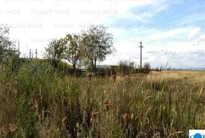 Teren de 5000 mp, în Exterior Sud - 11