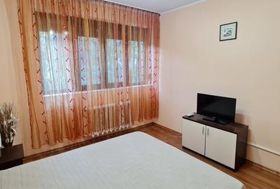 Inchiriere apartament 2 camere AFI COTROCENI, 450 EURO - 4